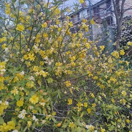 Mamma Giulia Casa de hóspedes