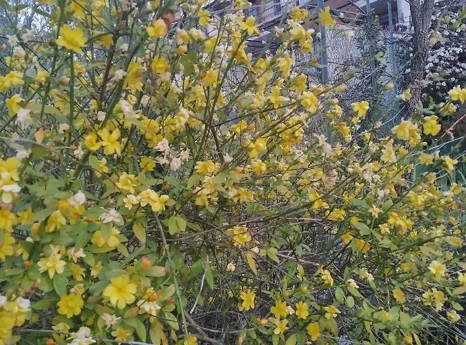 Mamma Giulia Guest house